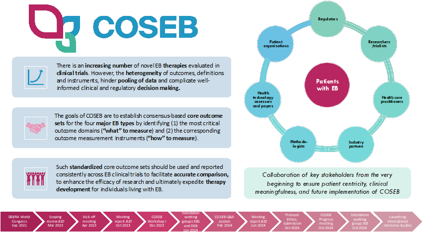 COSEB Aims, Stakeholders and Milestones