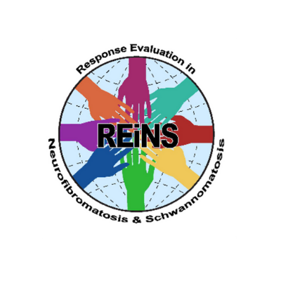 REiNS Logo